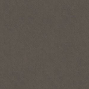 bg 8004 lr.x800.jpg