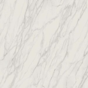 bg 8006 lr.x800.jpg