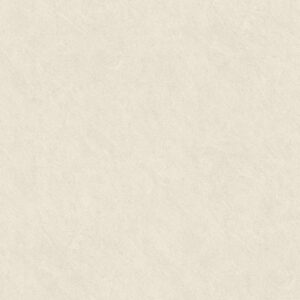 CG5529 Premium Matt Stone Travertine Misty