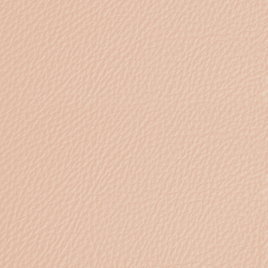 LP08 - Blush rose
