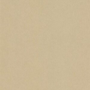 NE42 - Cashmere