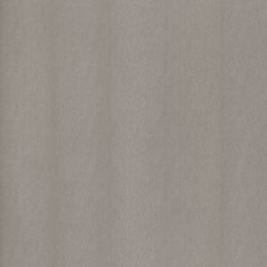 NE51 - Champagne Silver