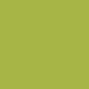 Cover Styl NF05 Green Lawn interieurfolie kleurfolie