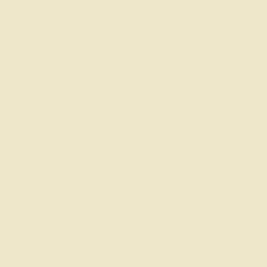 NG2034 Trendy Solid Creme