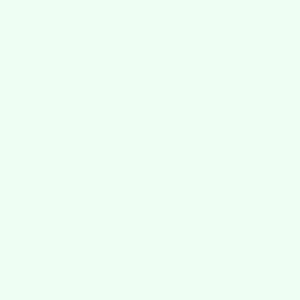 NG2037 Mint Green