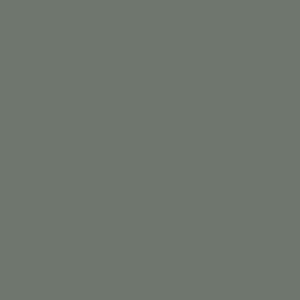 NG2042 Racing Green
