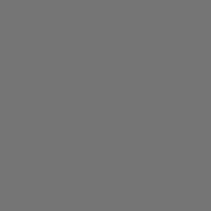 S231 - Dirty Grey