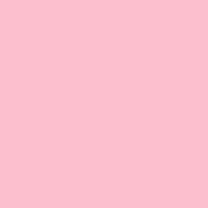 S232 - Hibiscus