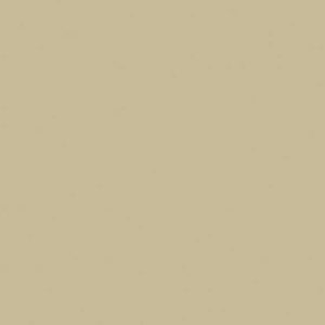 SG97 Grey Taupe