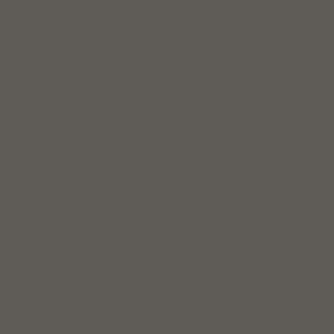 TG4019 Soft Matt Light Grey