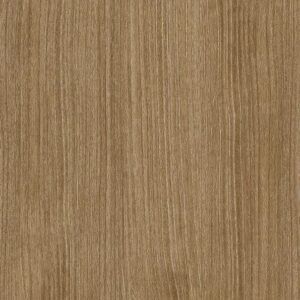 CT06 - Nutmeg