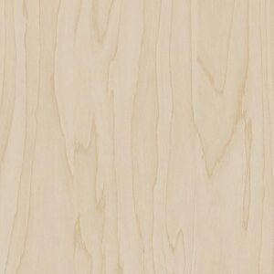 CT19 - Gold Pale Birch