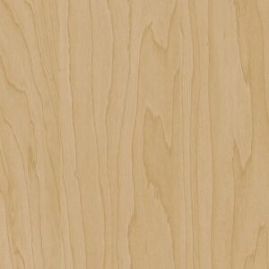CT20 - Gold Beige Birch