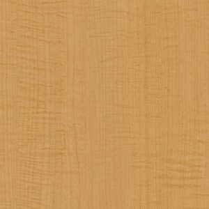 CT70 - Yellow Sycamore