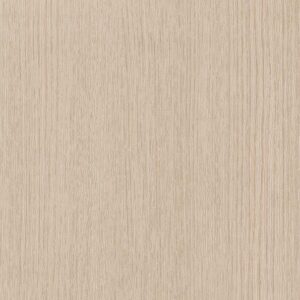 CT92 - Sand Oak