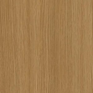 CT98 - Honey Ash