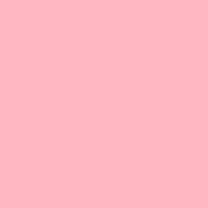 NF07 - Pink Flamingo