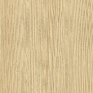 NF76 - Blond Beech