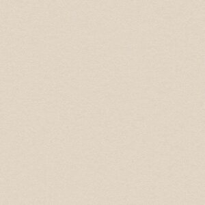 NH49 - Snowflake Stucco