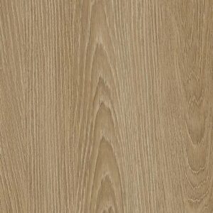 NH83 - Golden Elm
