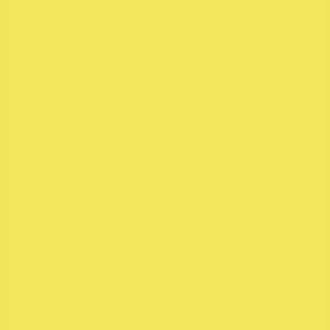 RM08 - Limoncello