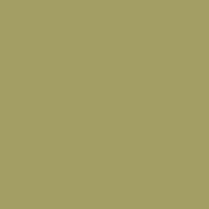 RM19 - Olive Green