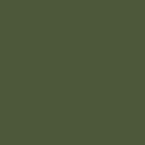 RM21 - Army Green